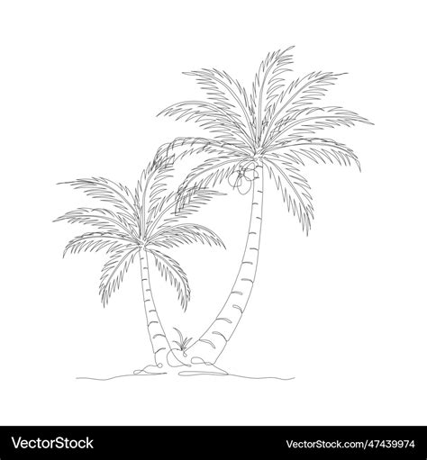 Drawing Coconut Tree Vector Images (over 5,700) .